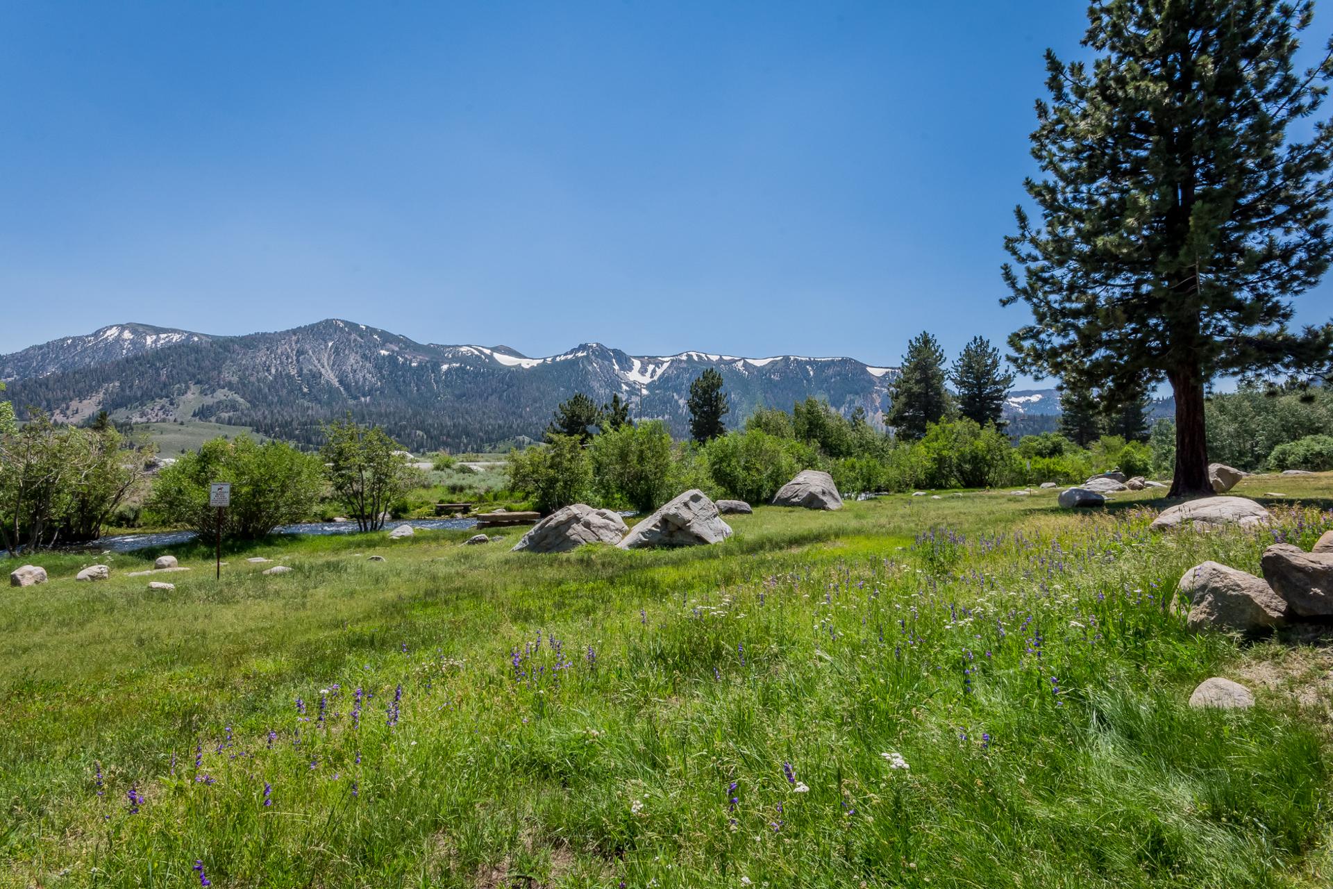 Mammoth Creek Properties Mammoth Creek Vacation Rentals