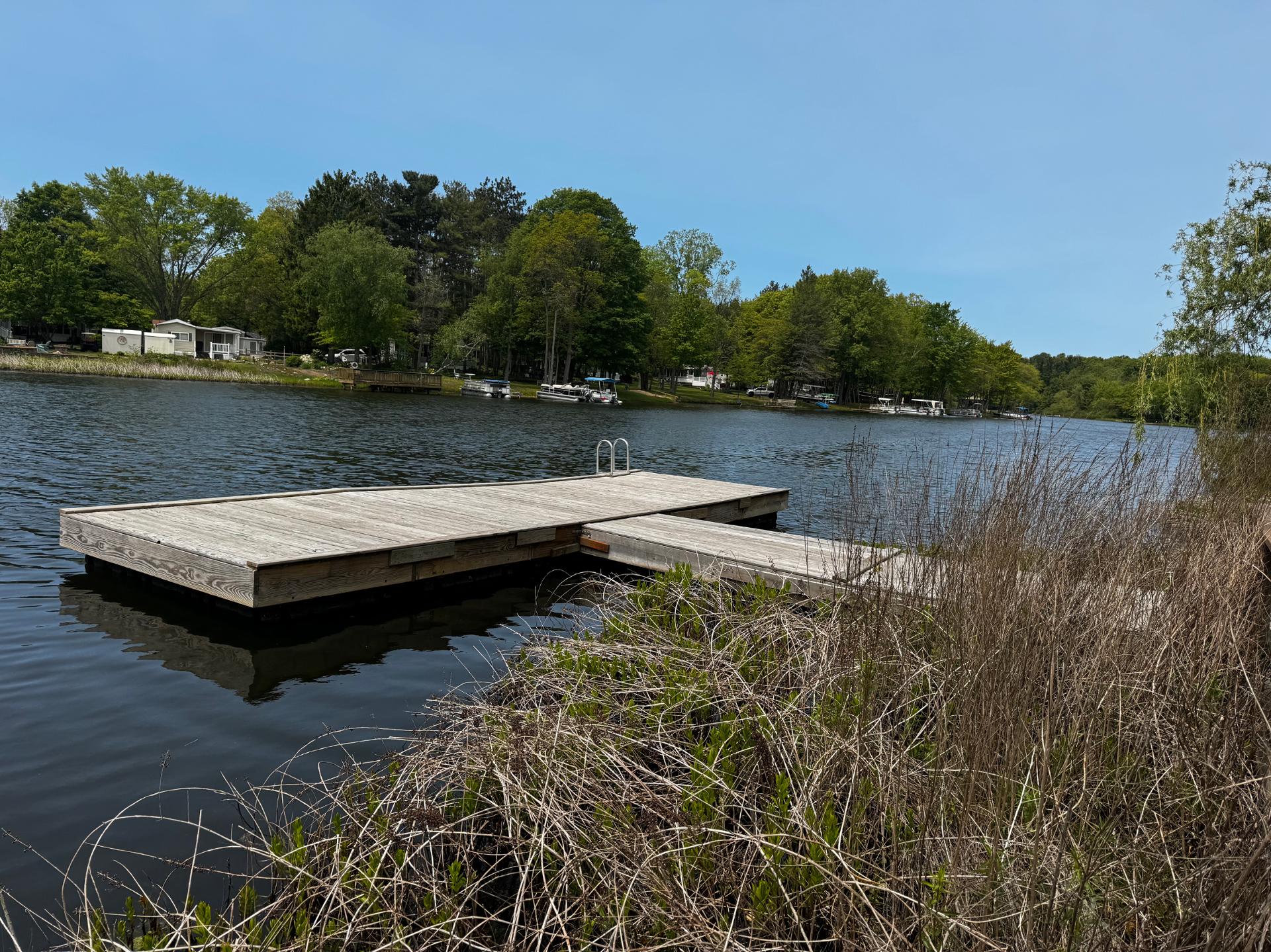Lilypad “Dock on Goshorn Lake, Pool,town!”