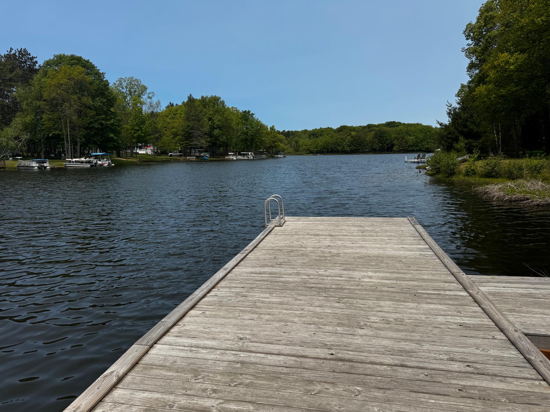 Lilypad “Dock on Goshorn Lake, Pool,town!”