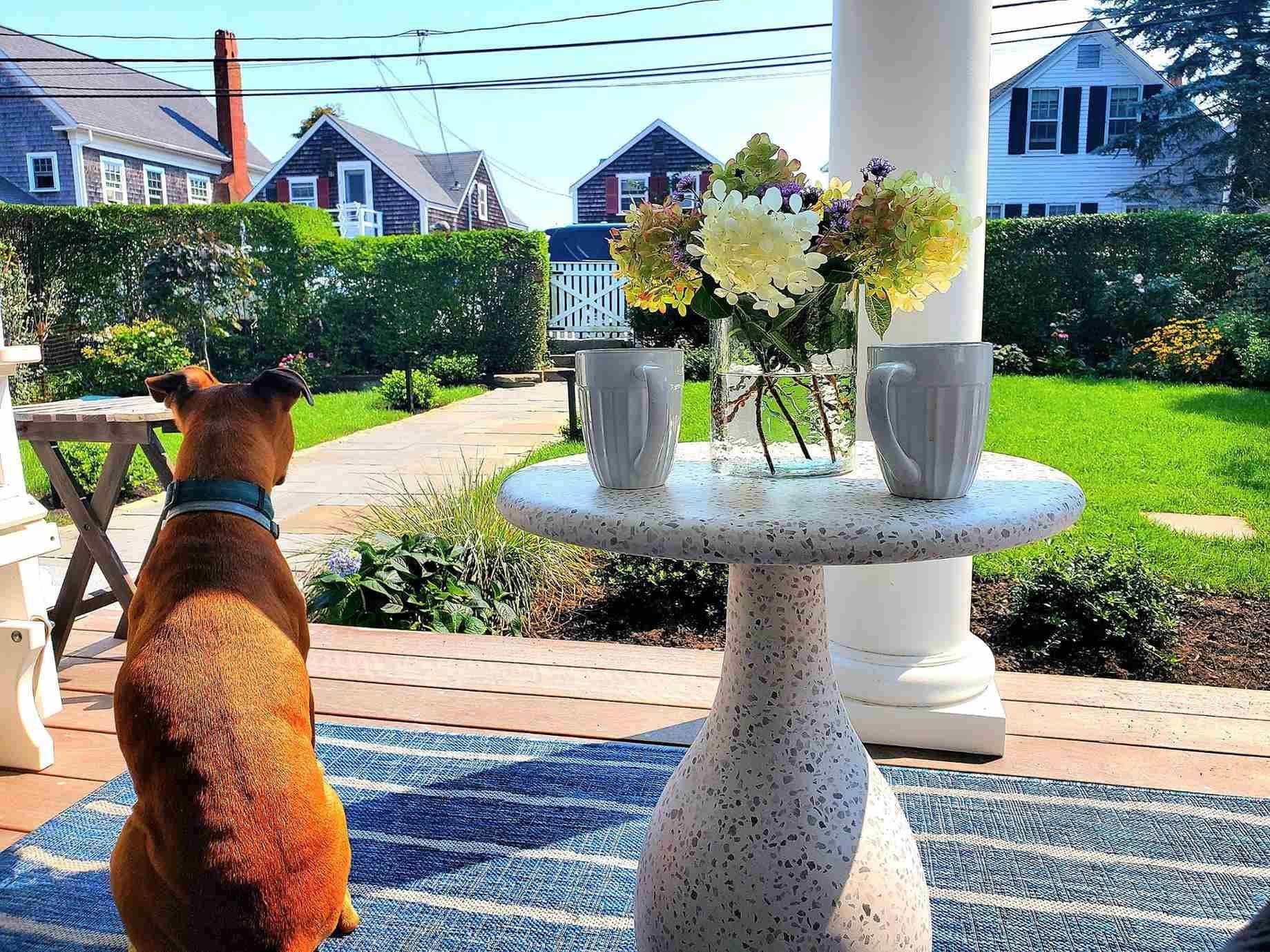 Vacation rental in Provincetown MA